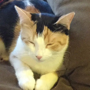 Meet your Posher, Stacy